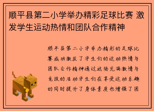 顺平县第二小学举办精彩足球比赛 激发学生运动热情和团队合作精神