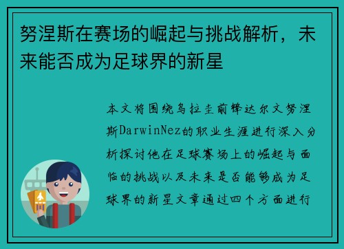 努涅斯在赛场的崛起与挑战解析，未来能否成为足球界的新星