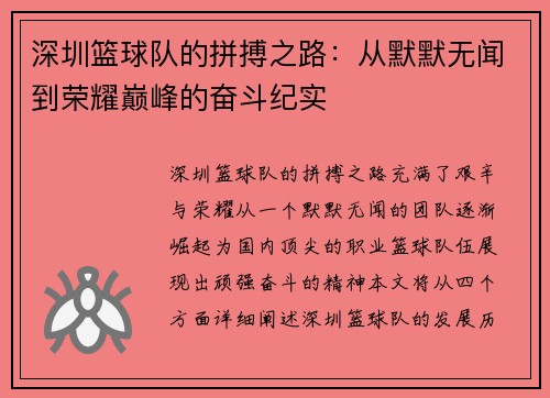 深圳篮球队的拼搏之路：从默默无闻到荣耀巅峰的奋斗纪实